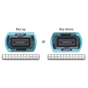 MTP OM3 12Fibers and 24Fibers Connector