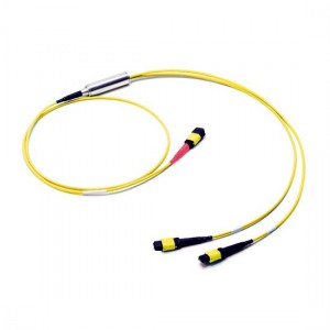 MTPMPO-Trunk-sm-cable