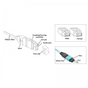 MTP OM3 12Fibers and 24Fibers Connector