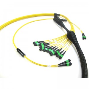 MTPMPO-Trunk-sm-cable