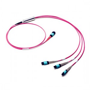 MTPMPO-Trunk-sm-cable